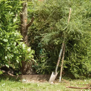 Hjælp - jeg har fået (ny) have! 